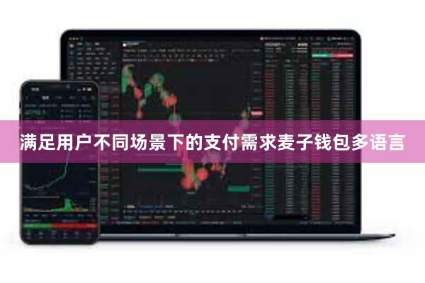 满足用户不同场景下的支付需求麦子钱包多语言