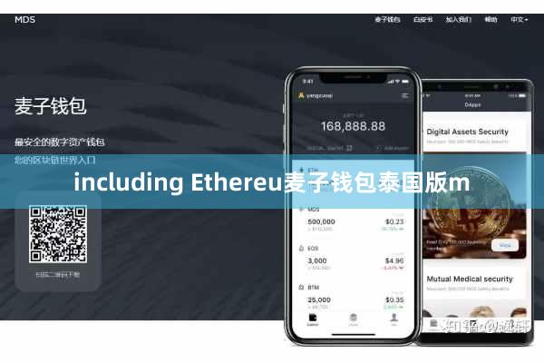 including Ethereu麦子钱包泰国版m