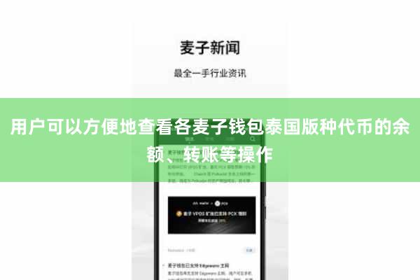 用户可以方便地查看各麦子钱包泰国版种代币的余额、转账等操作