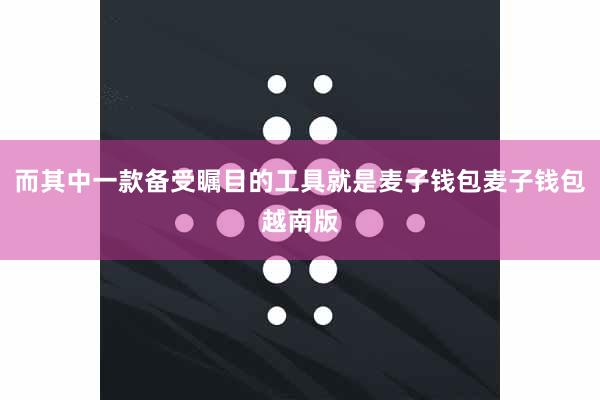 而其中一款备受瞩目的工具就是麦子钱包麦子钱包越南版