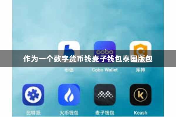 作为一个数字货币钱麦子钱包泰国版包