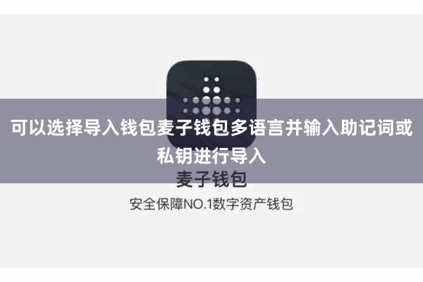可以选择导入钱包麦子钱包多语言并输入助记词或私钥进行导入