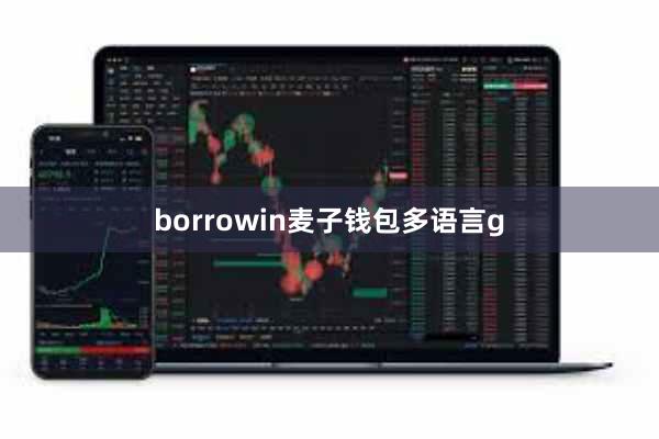 borrowin麦子钱包多语言g