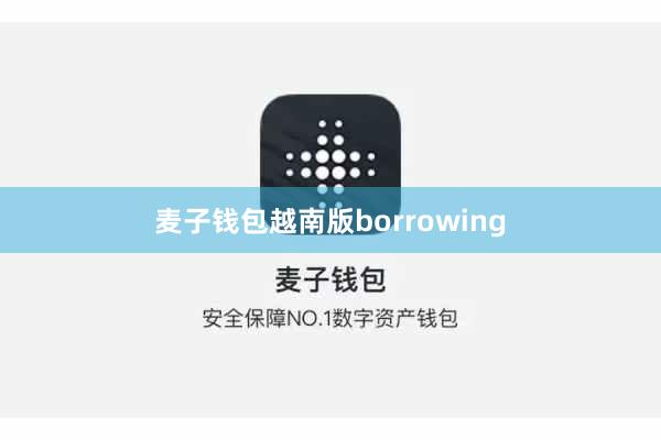 麦子钱包越南版borrowing
