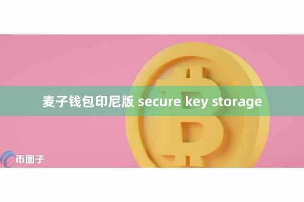麦子钱包印尼版 secure key storage