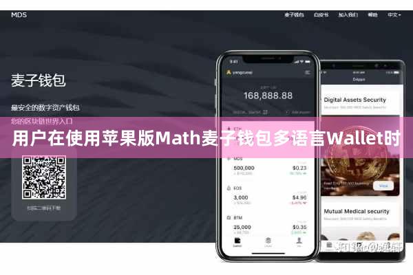 用户在使用苹果版Math麦子钱包多语言Wallet时