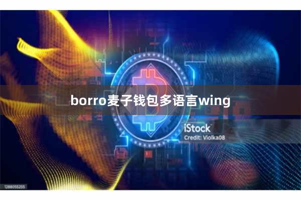 borro麦子钱包多语言wing