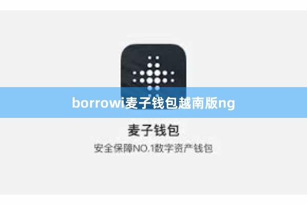 borrowi麦子钱包越南版ng