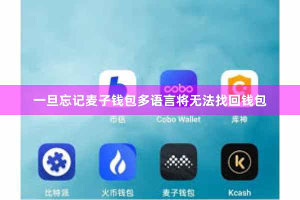 一旦忘记麦子钱包多语言将无法找回钱包