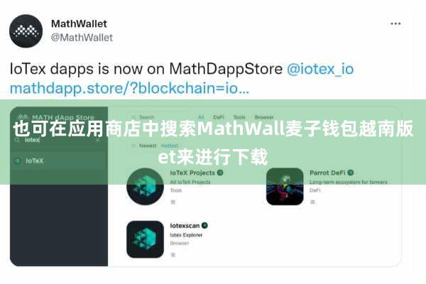也可在应用商店中搜索MathWall麦子钱包越南版et来进行下载