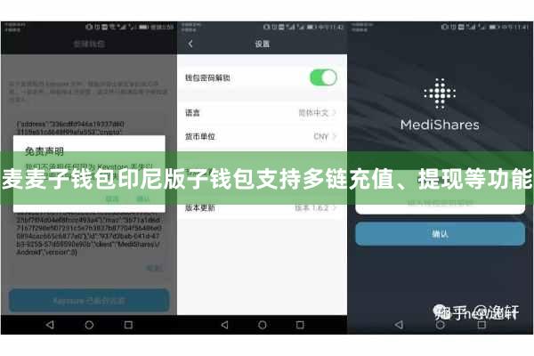 麦麦子钱包印尼版子钱包支持多链充值、提现等功能