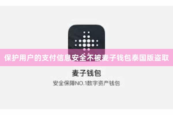 保护用户的支付信息安全不被麦子钱包泰国版盗取