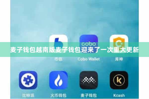 麦子钱包越南版麦子钱包迎来了一次重大更新