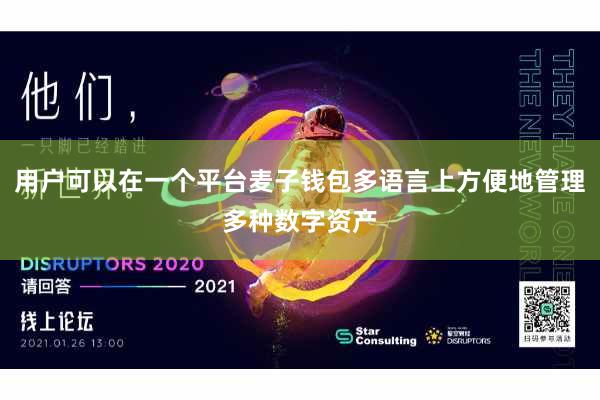 用户可以在一个平台麦子钱包多语言上方便地管理多种数字资产